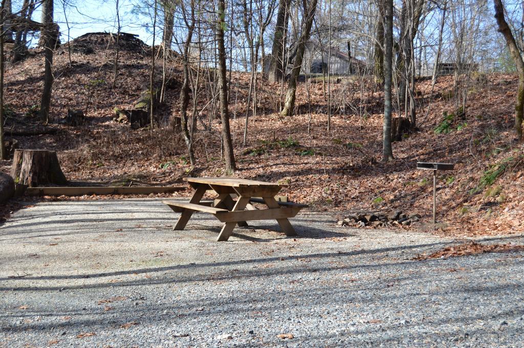 Linville Falls Campground, Rv Park, And Cabins Bagian luar foto