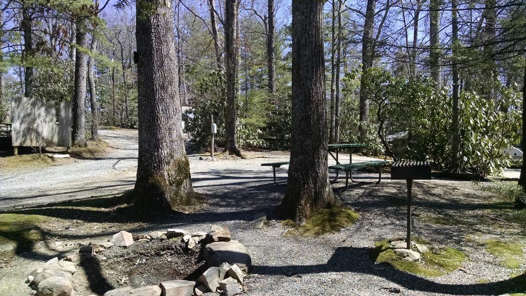 Linville Falls Campground, Rv Park, And Cabins Bagian luar foto