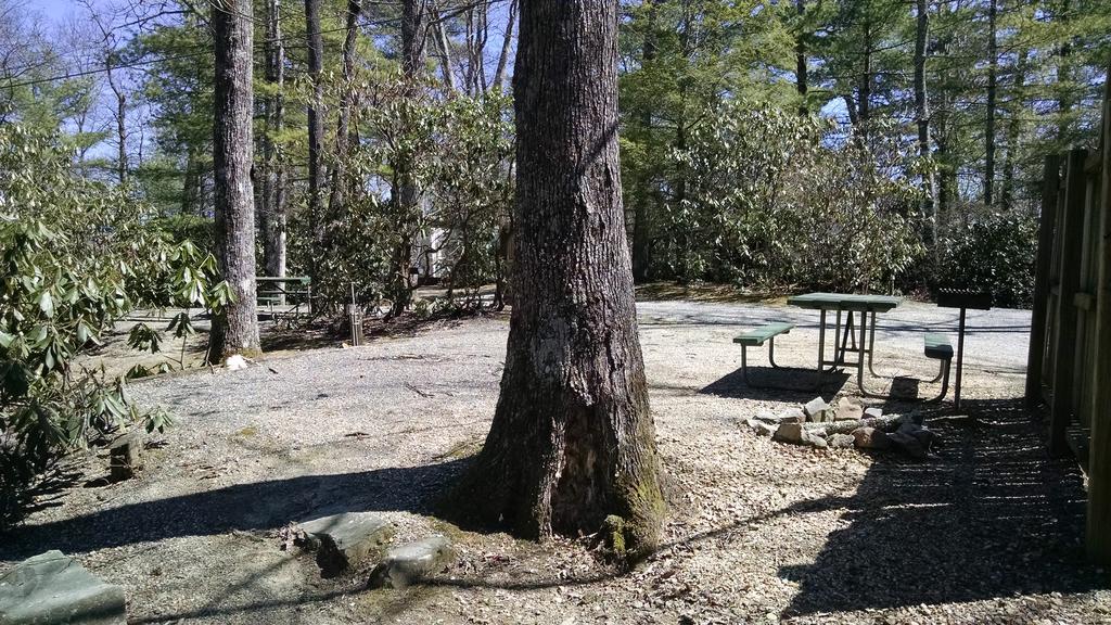 Linville Falls Campground, Rv Park, And Cabins Bagian luar foto