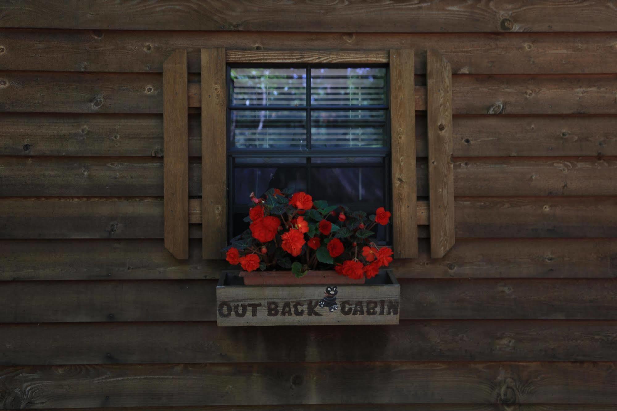 Linville Falls Campground, Rv Park, And Cabins Bagian luar foto