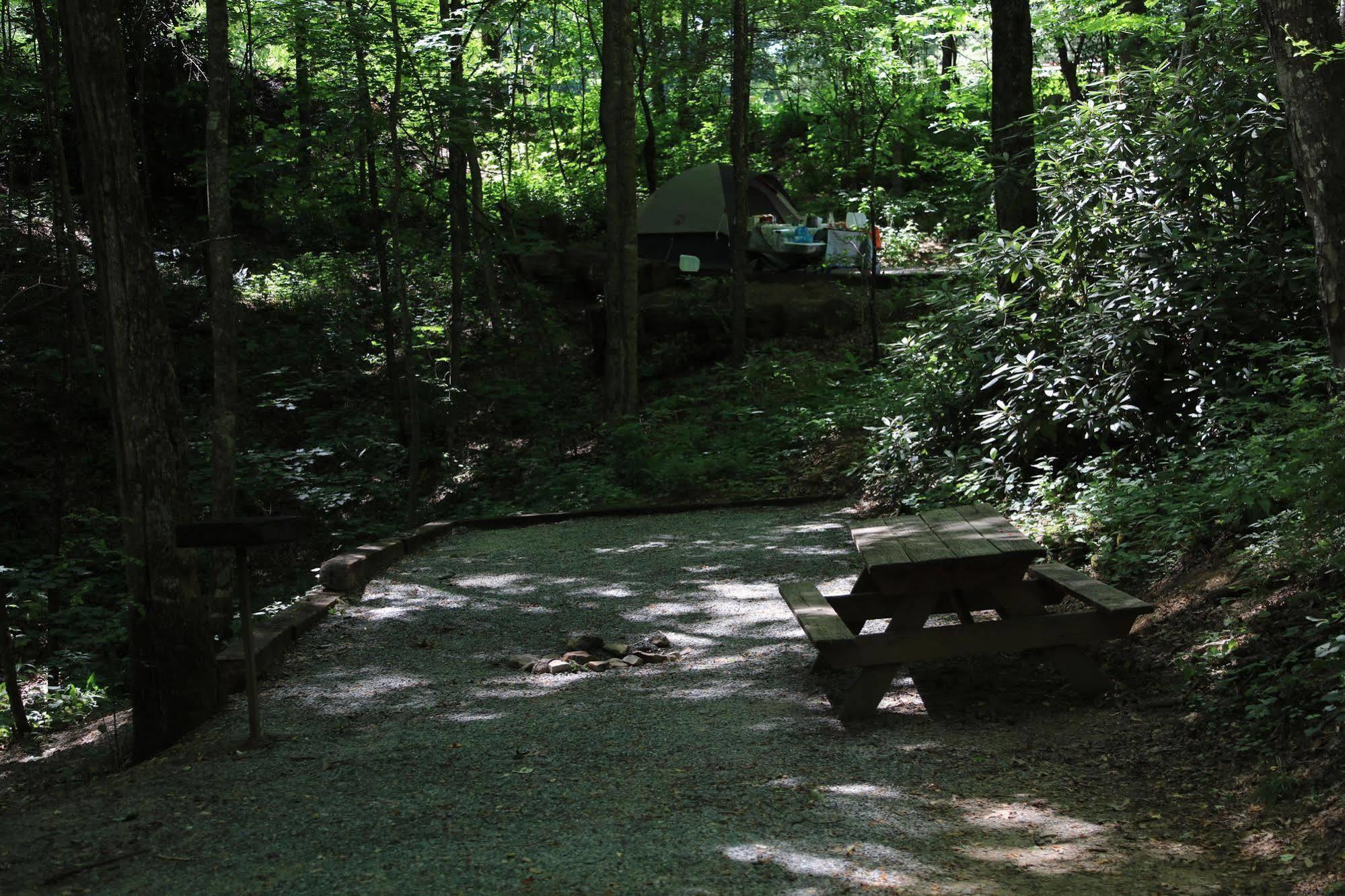 Linville Falls Campground, Rv Park, And Cabins Bagian luar foto