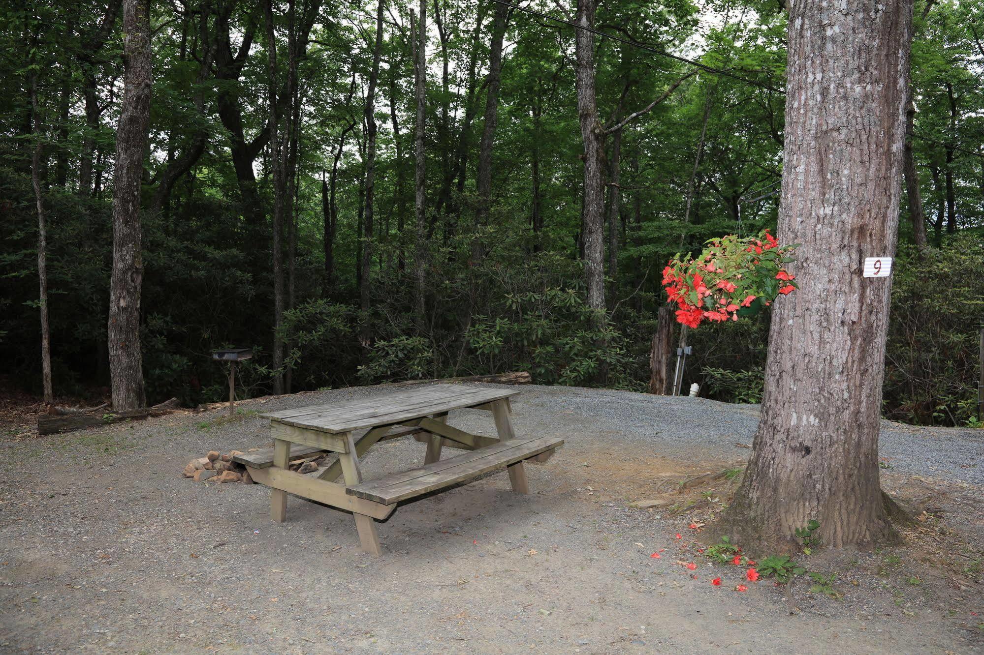 Linville Falls Campground, Rv Park, And Cabins Bagian luar foto